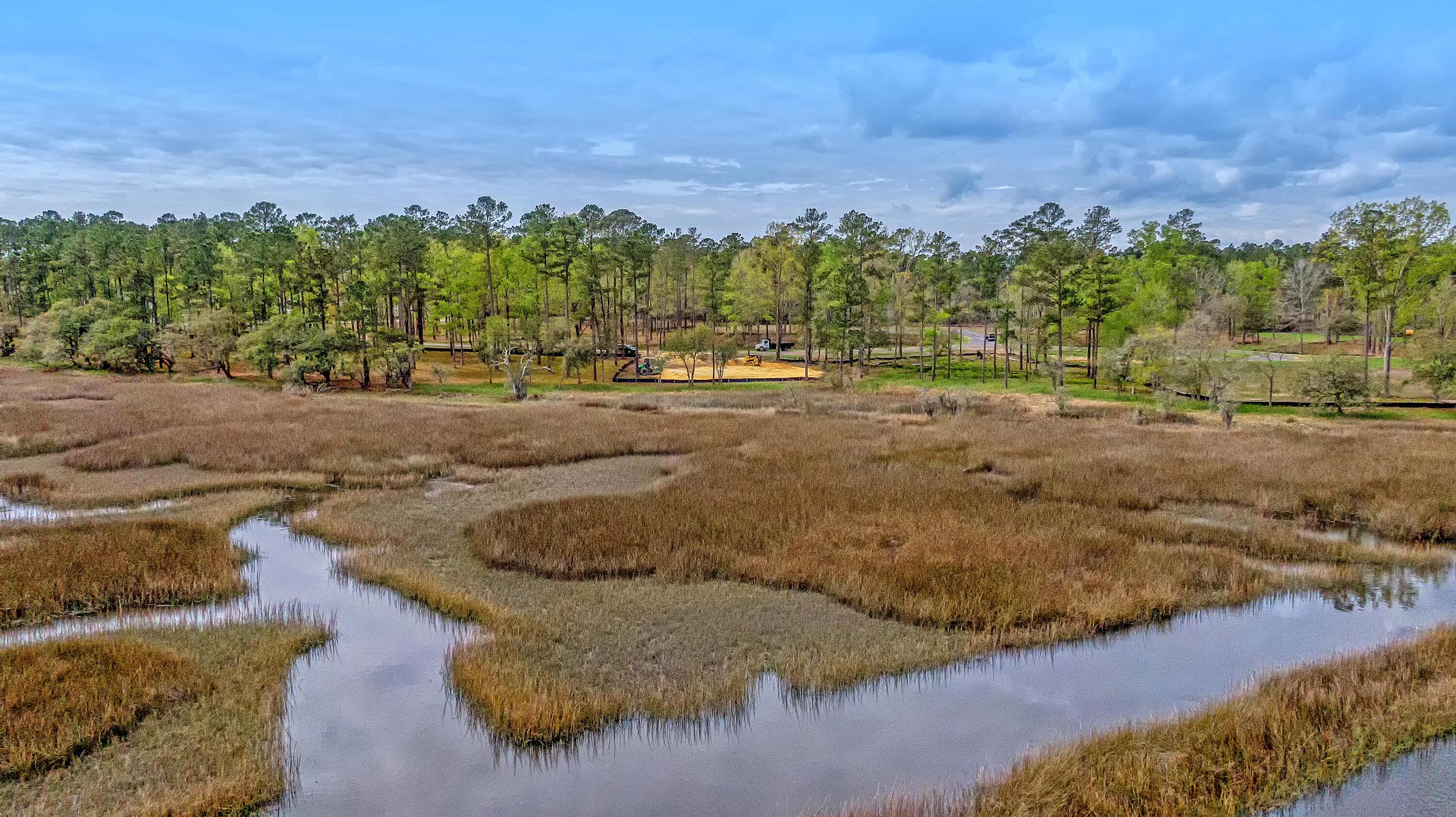 110 Peninsula Drive Ravenel, SC 29470 - Photo 1 of 101 CREM_Bulow Landing Rd Lots_011