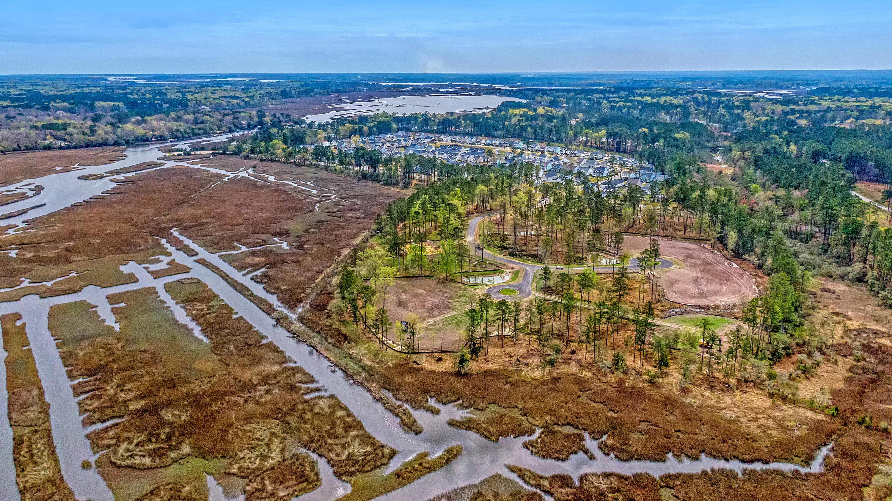 110 Peninsula Drive Ravenel, SC 29470 - Photo 16 of 101 CREM_Bulow Landing Rd Lots_006