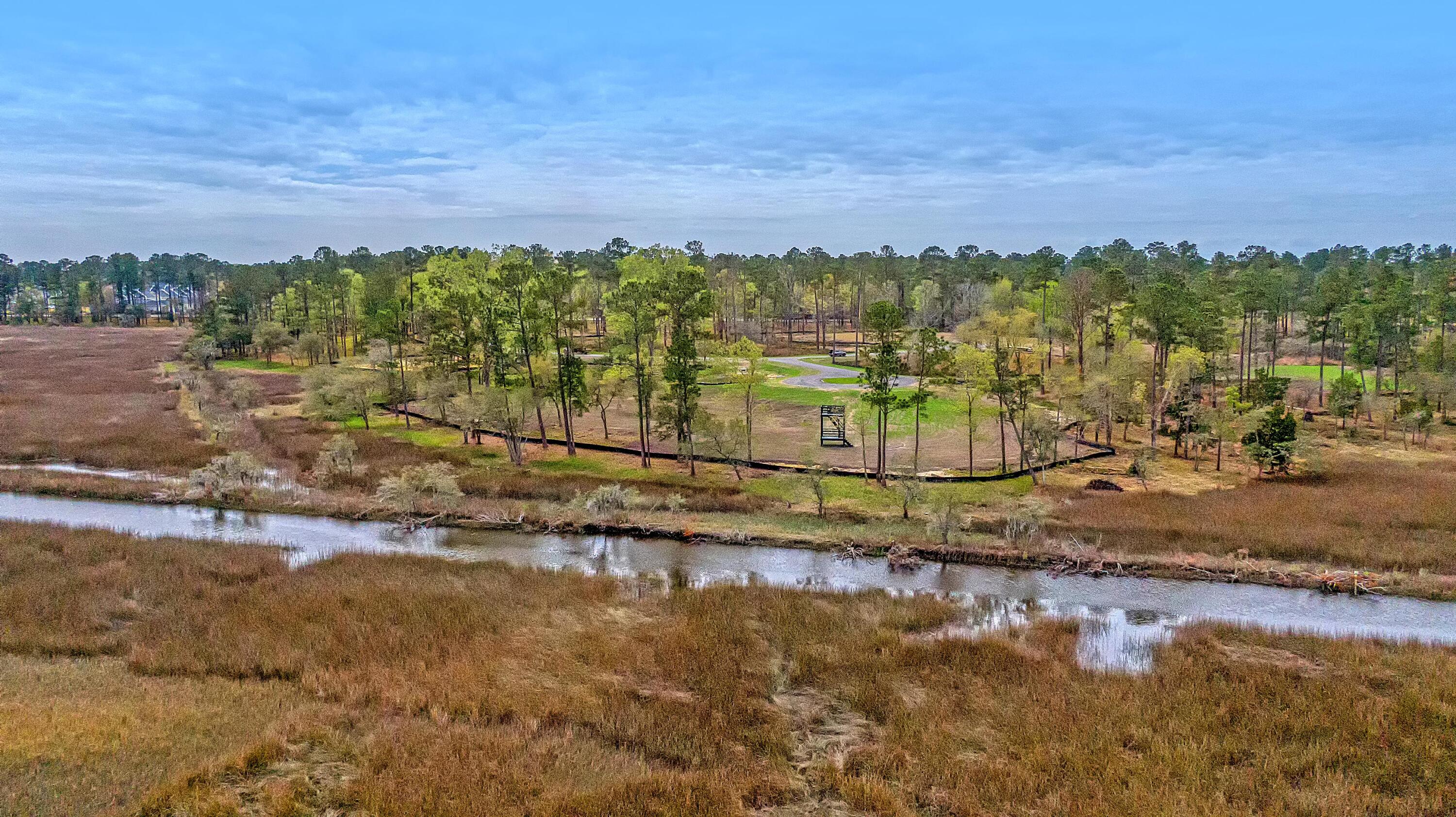 110 Peninsula Drive Ravenel, SC 29470 - Photo 18 of 101 CREM_Bulow Landing Rd Lots_013
