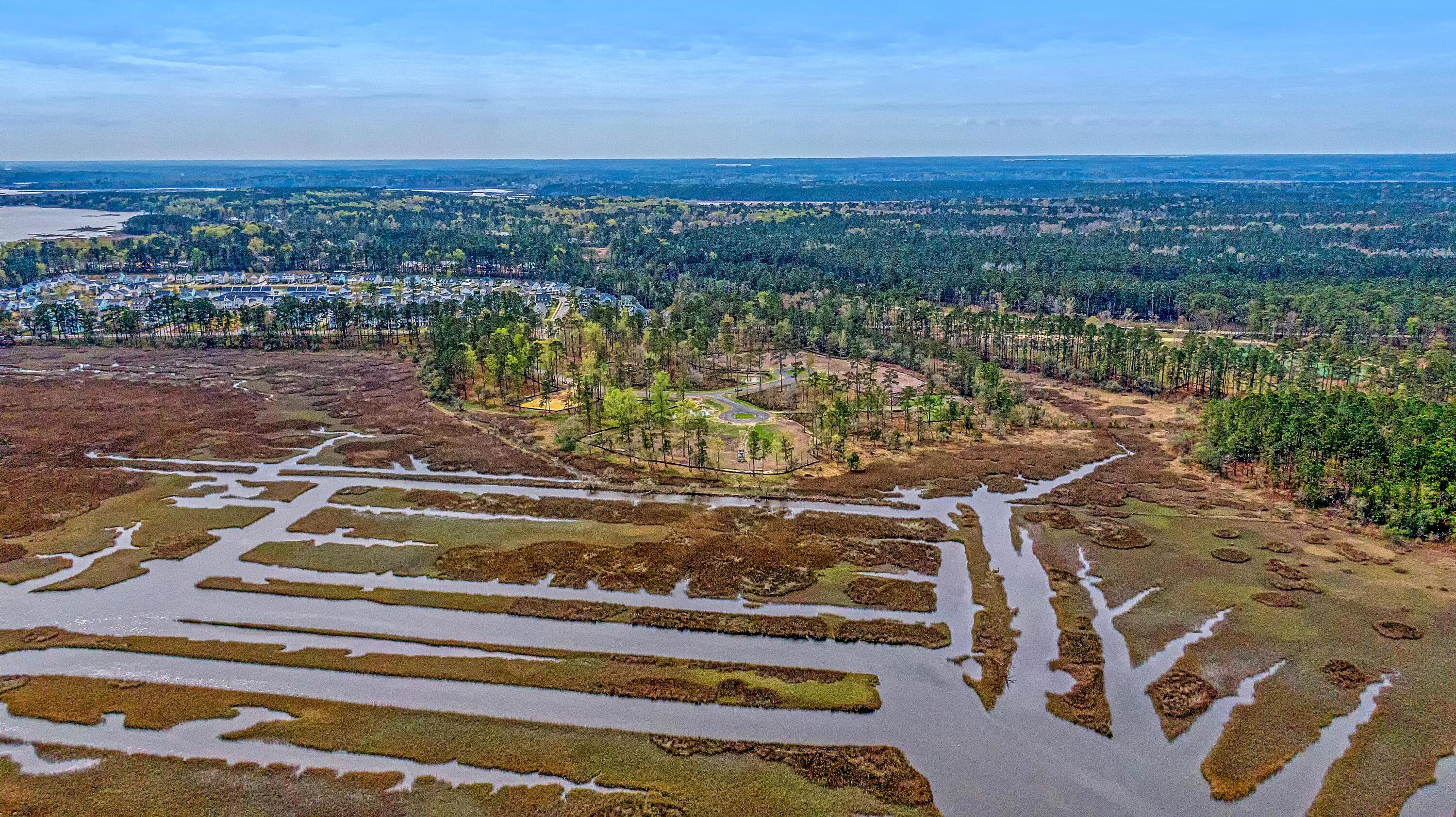 110 Peninsula Drive Ravenel, SC 29470 - Photo 19 of 101 CREM_Bulow Landing Rd Lots_014