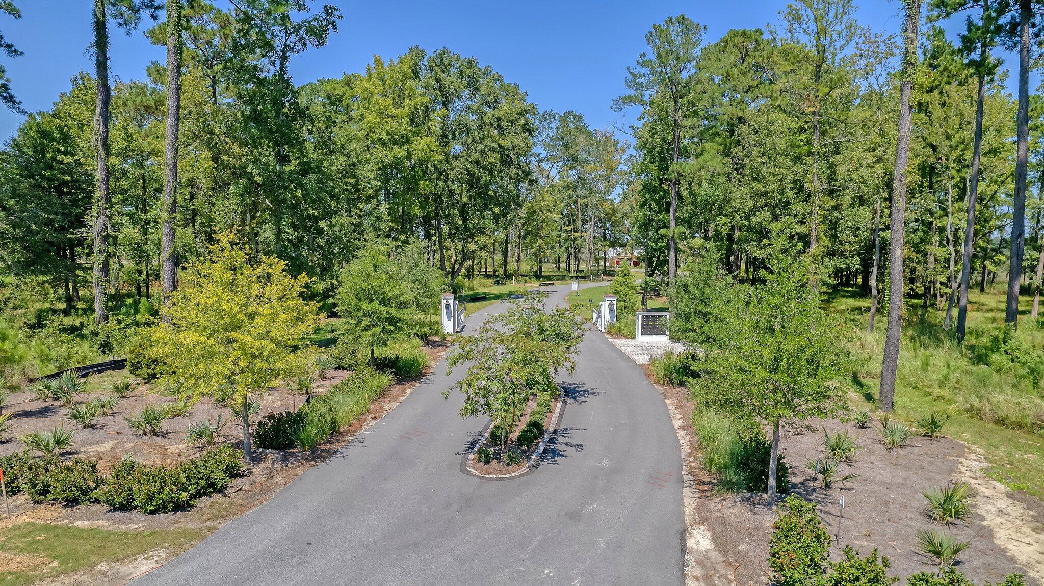 110 Peninsula Drive Ravenel, SC 29470 - Photo 7 of 101 17-web-or-mls-CREM_Pennisula Summer_017