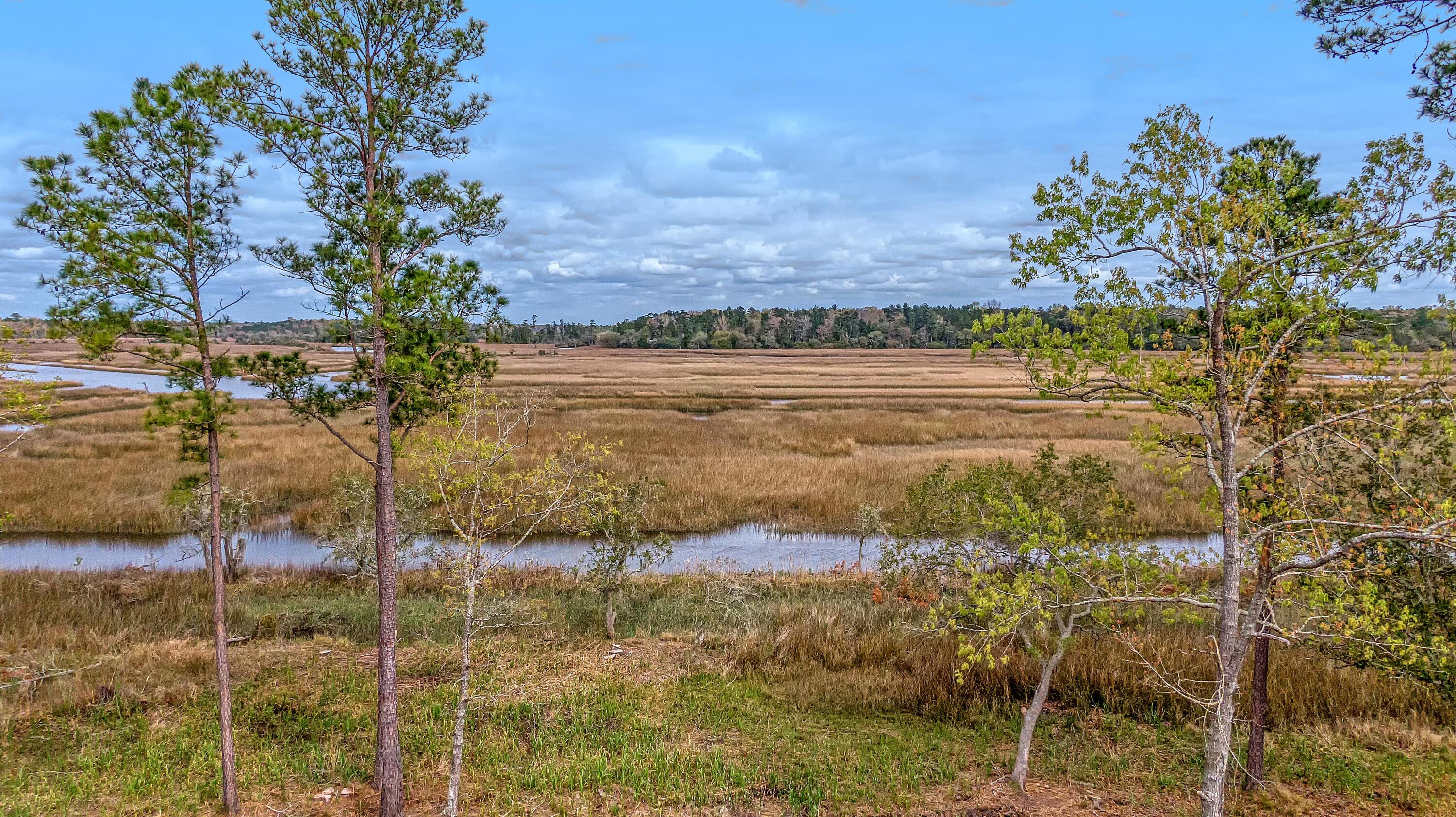 110 Peninsula Drive Ravenel, SC 29470 - Photo 9 of 101 CREM_Bulow Landing Rd Lots_002