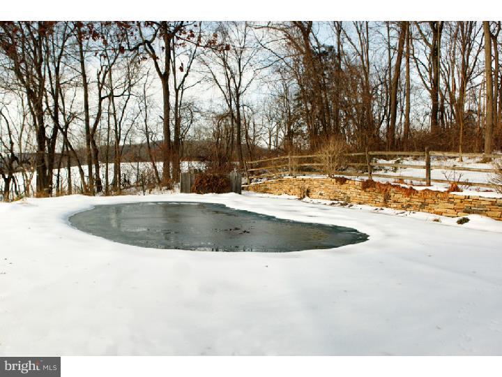 969 Spring Hill Road Riegelsville, PA 18077 - Photo 4 of 24 Pool