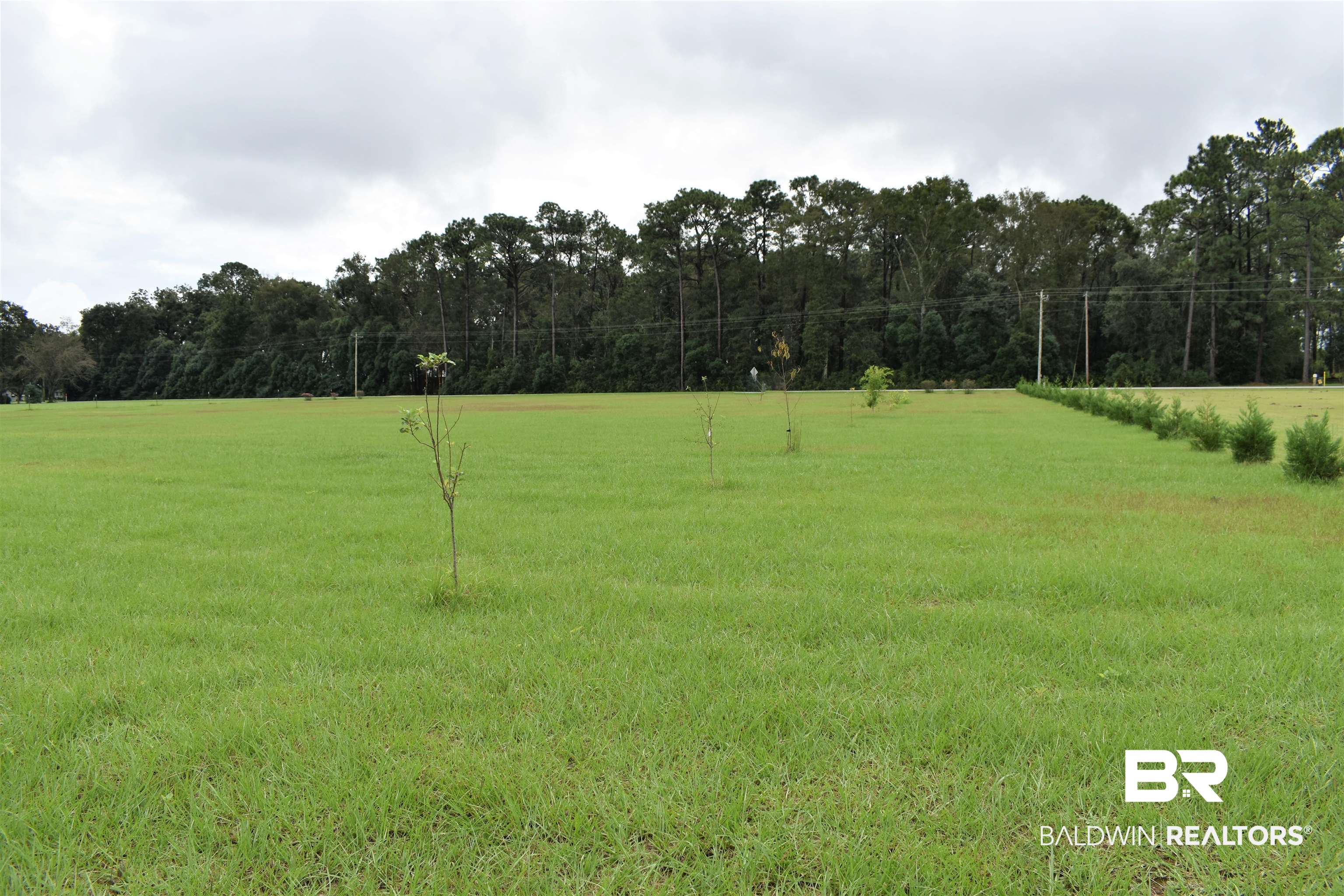 12115 County Road 54 Daphne, AL 36526 - Photo 15 of 17