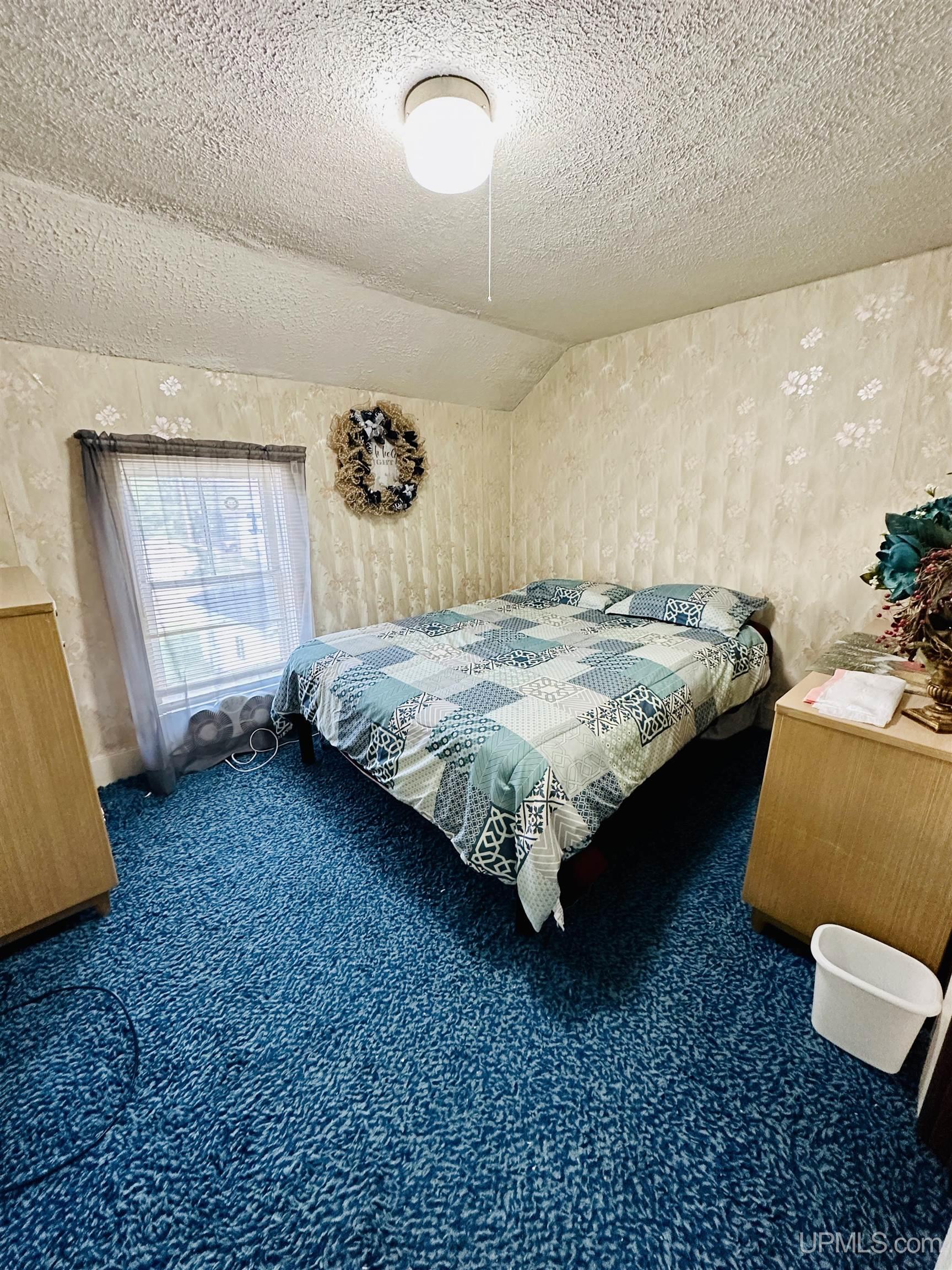 210 Oak Street Ishpeming, MI 49849 - Photo 19 of 30 Gallery Image 19