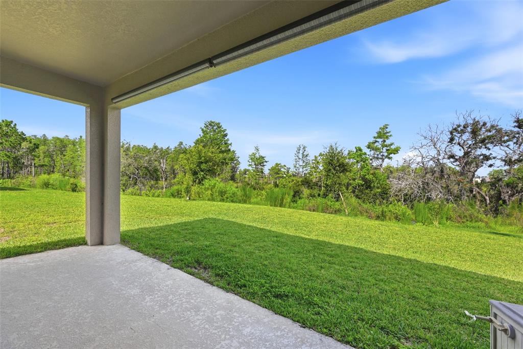 16448 Parable Way Winter Garden, FL 34787 - Photo 48 of 70