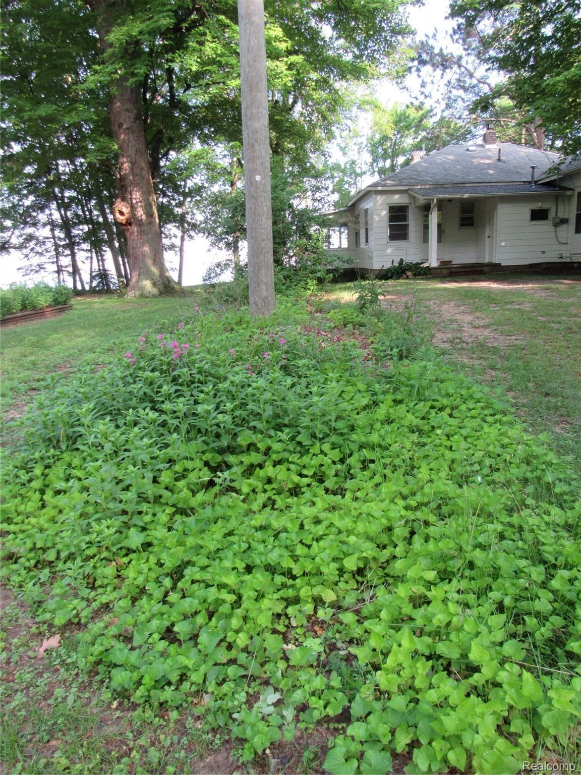 1250 Port Austin Road Port Austin, MI 48467 - Photo 14 of 14 IMG_4560.JPG