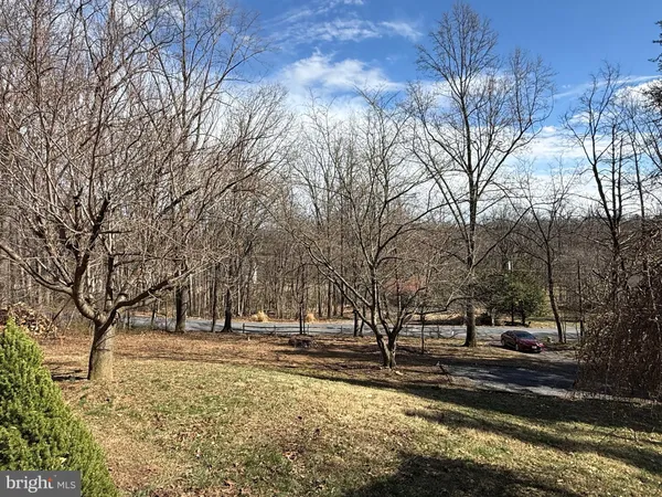 a view of road with trees