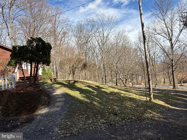 a view of a yard with a tree