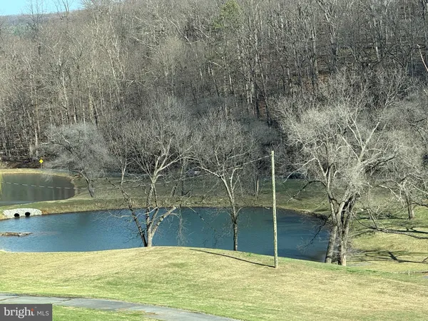 a view of a swimming pool