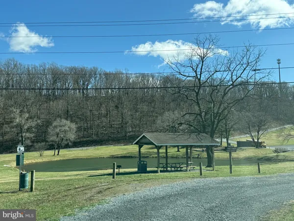a view of a park with large trees