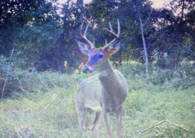 0 South Hurds Corner Road Mayville, MI 48744 - Photo 17 of 19