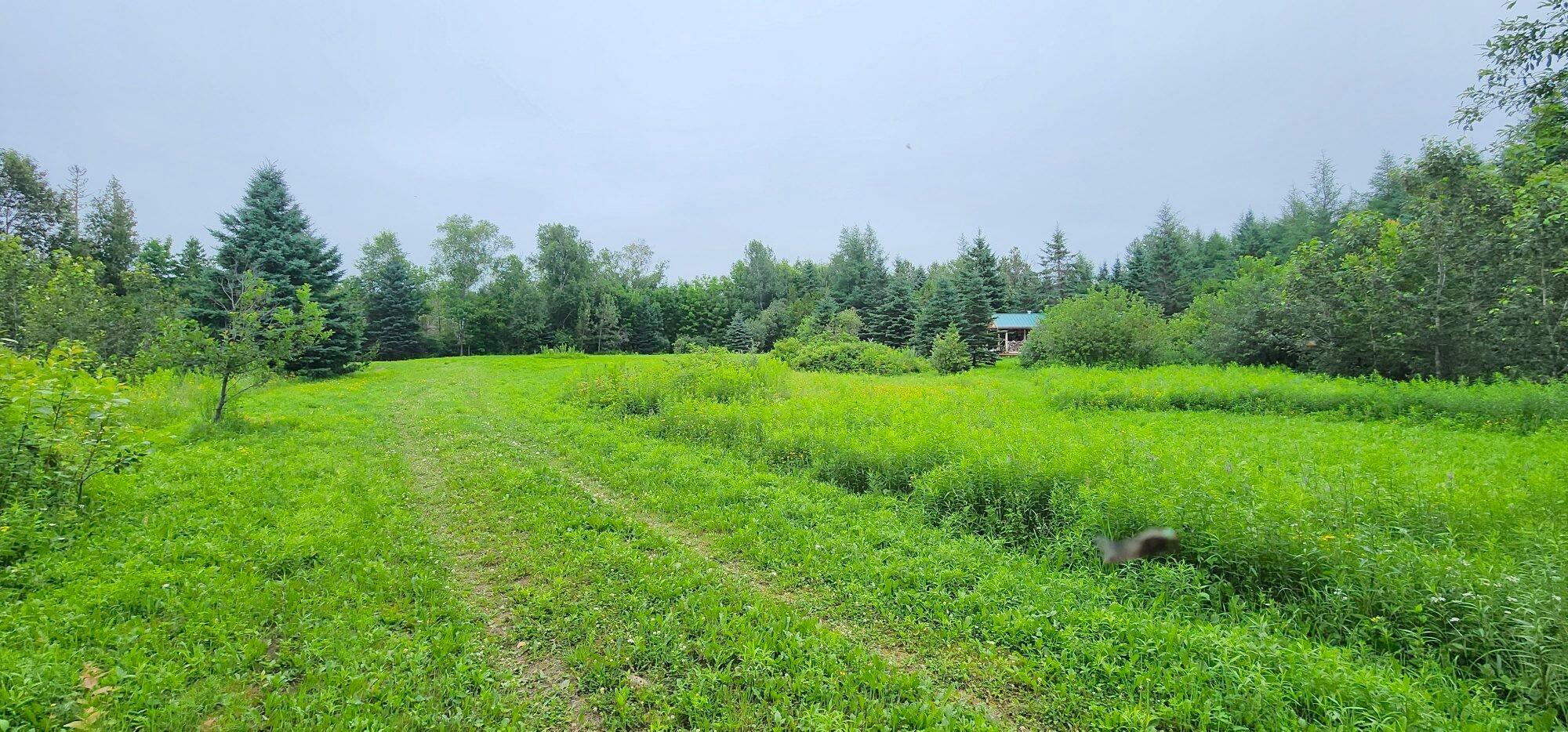 405 New Dunn Town Road Washburn, ME 04786 - Photo 11 of 51 20230716_100023