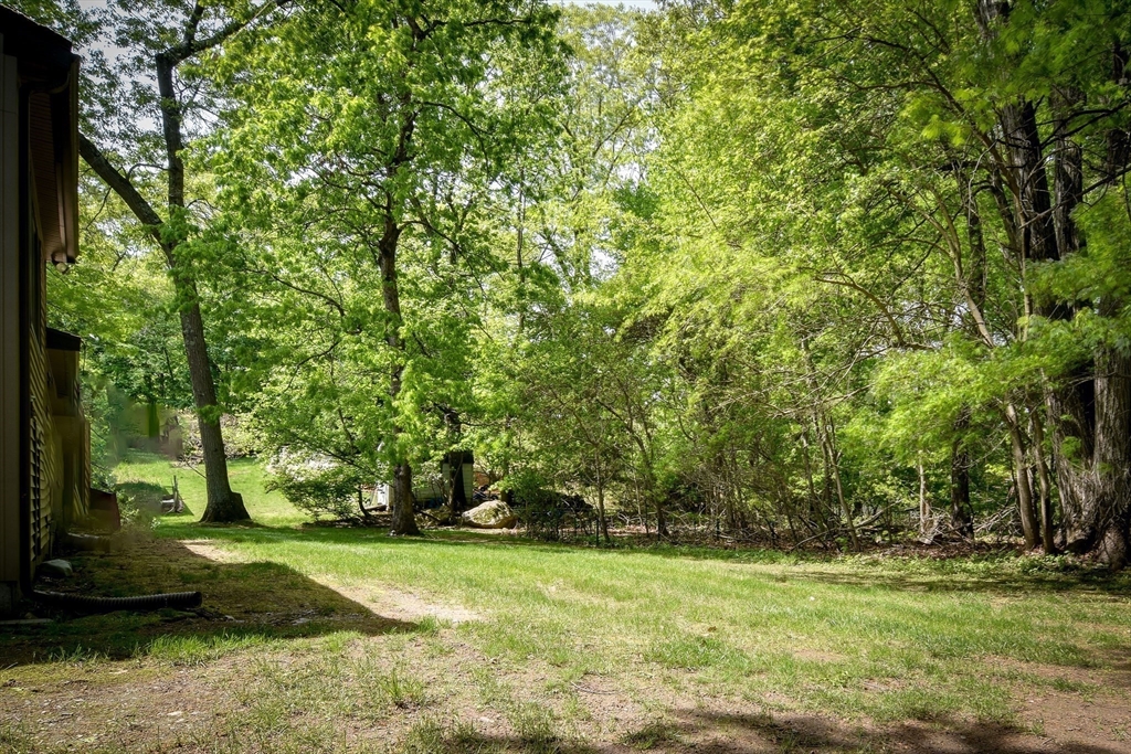 38 Stagecoach Drive Ashland, MA 01721 - Photo 28 of 29 a view of a field with trees