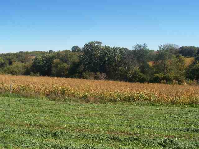 1337 South Scout Camp Road Stockton, IL 61085 - Photo 3 of 4 Gallery Image 3