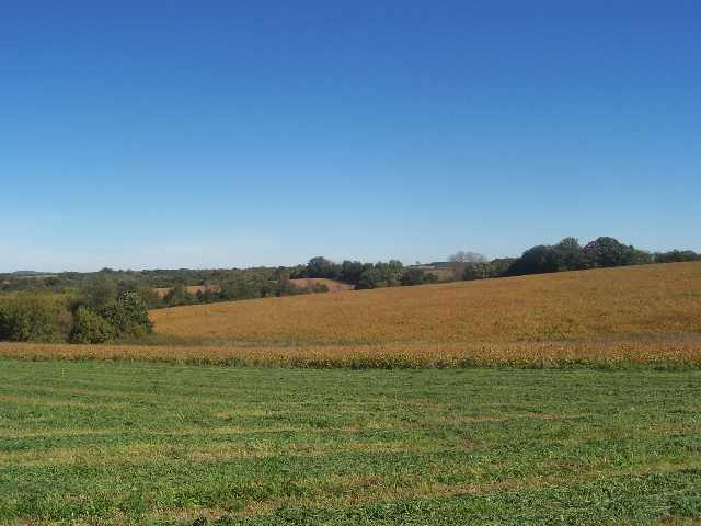 1337 South Scout Camp Road Stockton, IL 61085 - Photo 4 of 4 Gallery Image 4