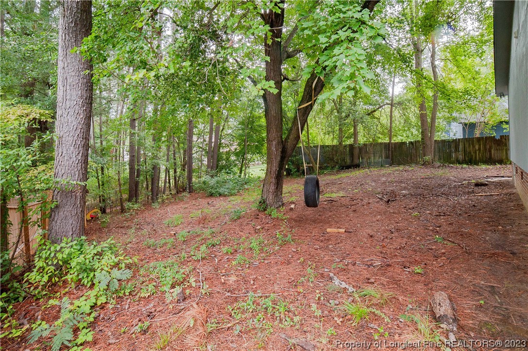 6005 Dalton Road Fayetteville, NC 28314 - Photo 43 of 44 a backyard of a house with lots of green space