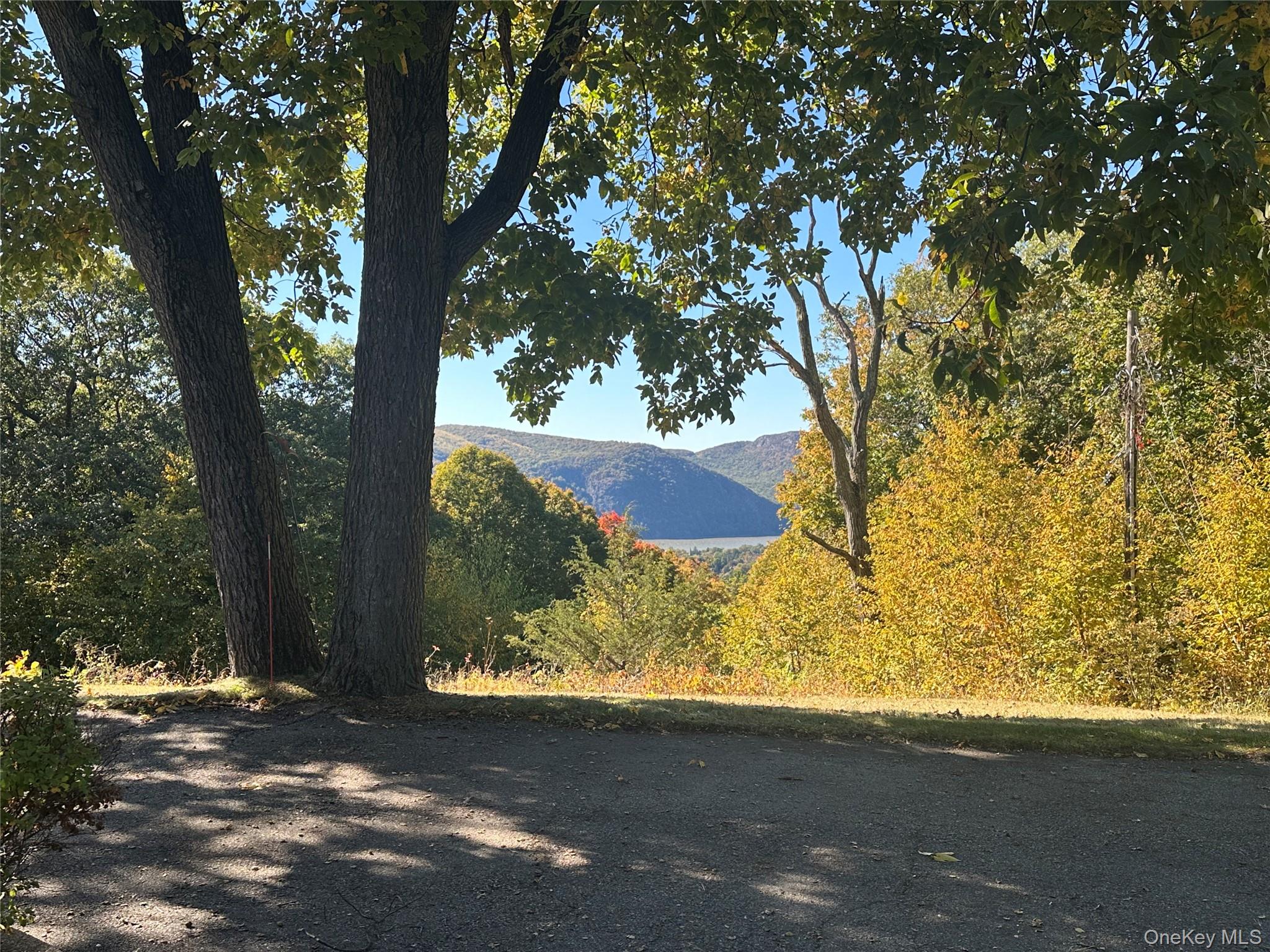 376 Lane Gate Road Cold Spring, NY 10516 - Photo 4 of 23 a view of yard with tree