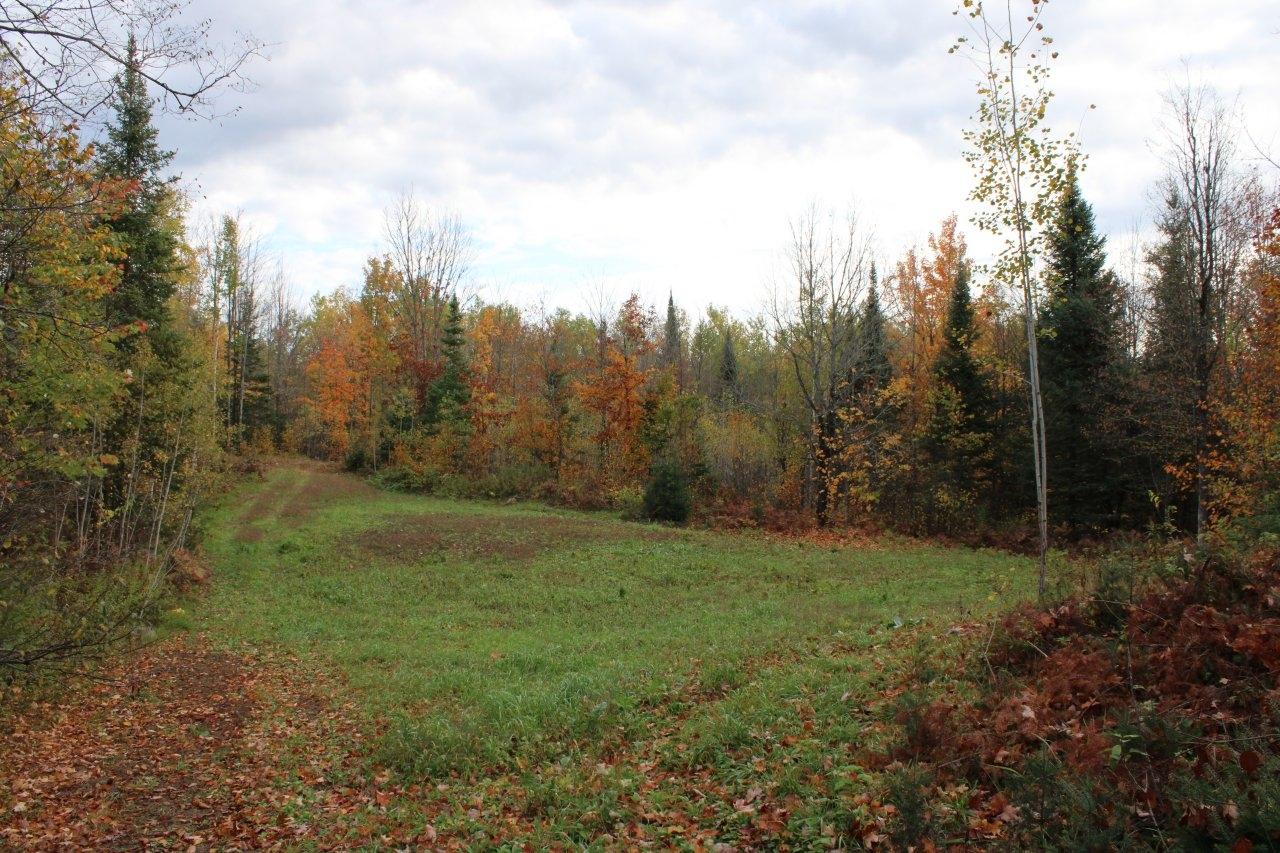 Off Warren Road Fifield, WI 54524 - Photo 6 of 28 Gallery Image 6