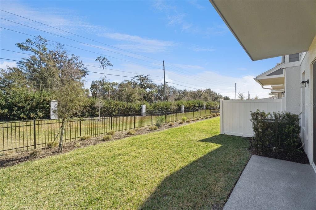 1915 Terrapin Road Ocoee, FL 34761 - Photo 22 of 25 a view of a backyard