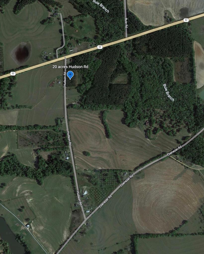 20-acres Hudson Road Columbia, AL 36319 - Photo 30 of 40