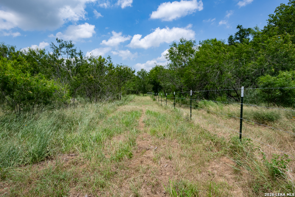 1393 Fox Trotter Road Seguin, TX 78155 - Photo 9 of 46