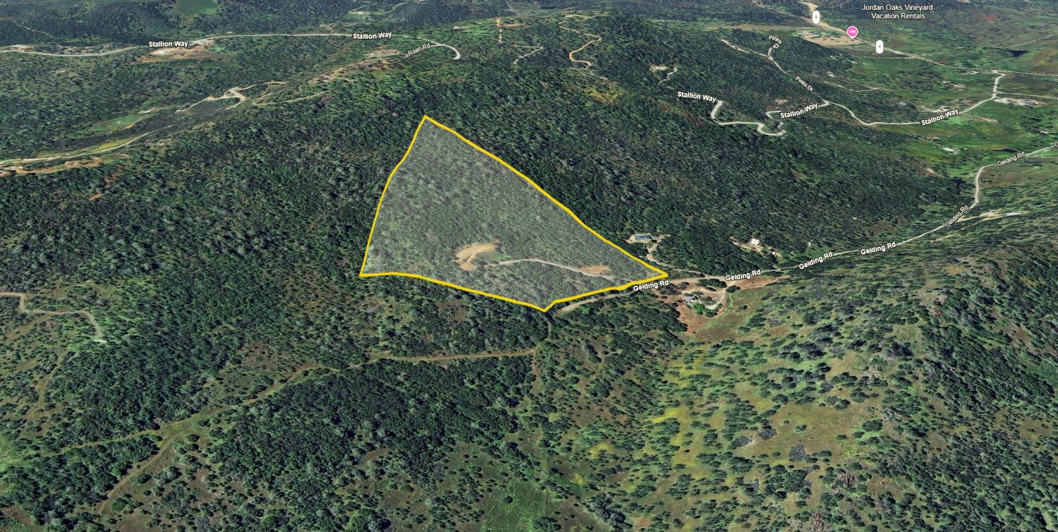 1480 Gelding Road Angels Camp, CA 95222 - Photo 49 of 76