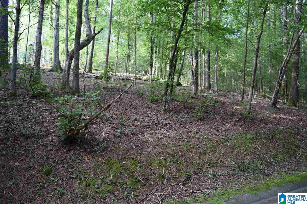 Lot 10 South Hollow Road, Unit 10 Hayden, AL 35079 - Photo 5 of 17