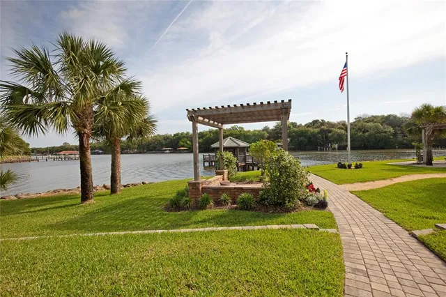 a view of a swimming pool with a yard and palm trees