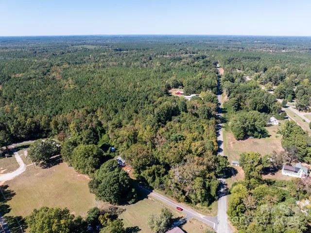 an aerial view of green landscape with trees houses and mountain view
