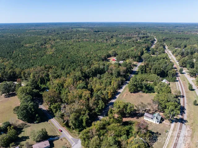 an aerial view of green landscape with trees houses and mountain view