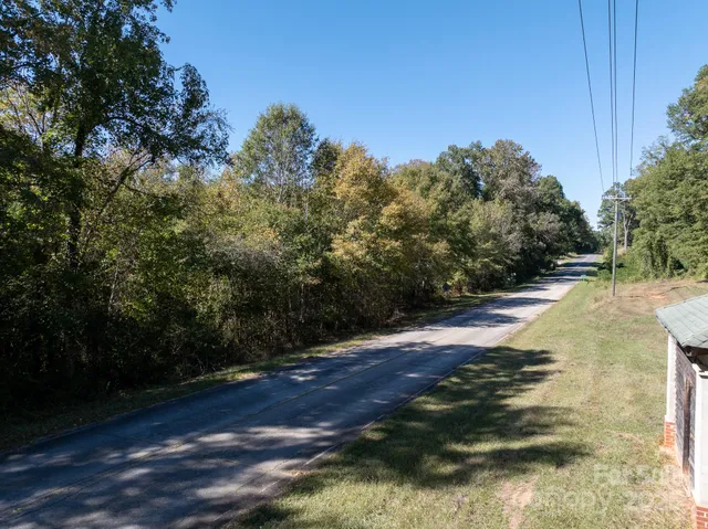 a view of a garden with a tree