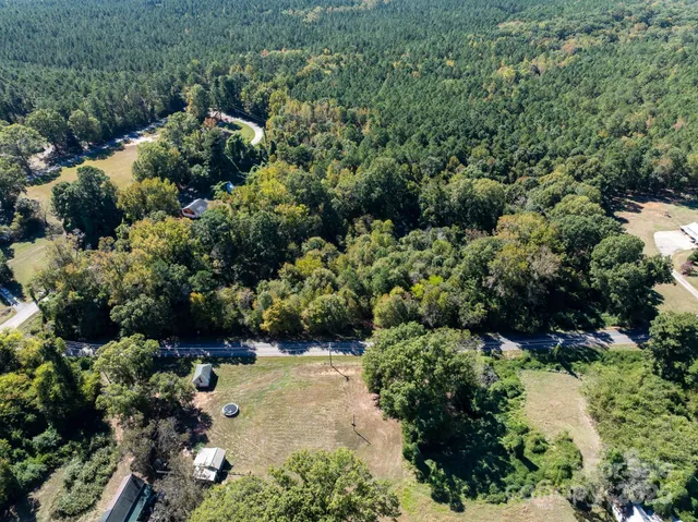 a view of a garden with plants