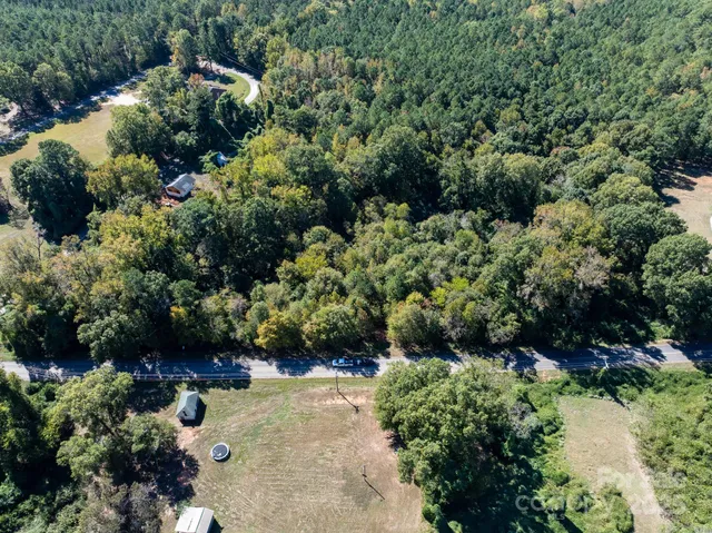 a view of a garden with plants and flowers