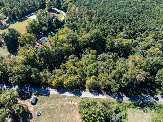 a view of a garden with a tree