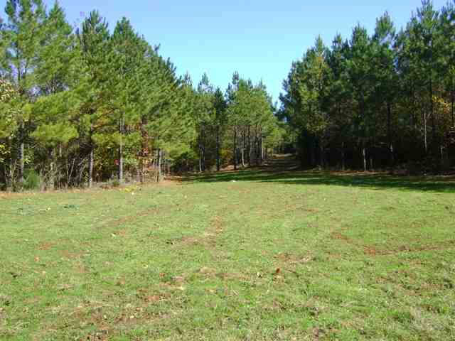 0 Rocky Top Road Anderson, SC 29621 - Photo 3 of 6