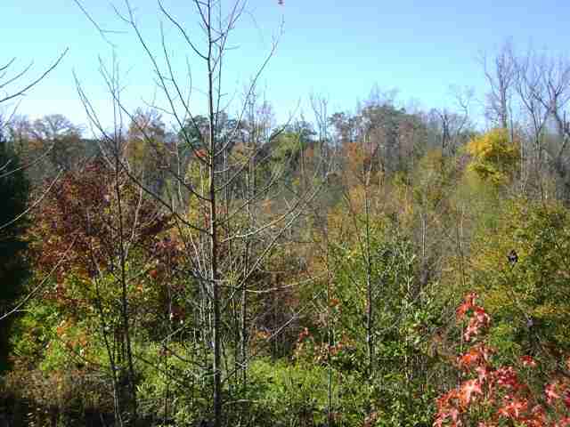 0 Rocky Top Road Anderson, SC 29621 - Photo 6 of 6