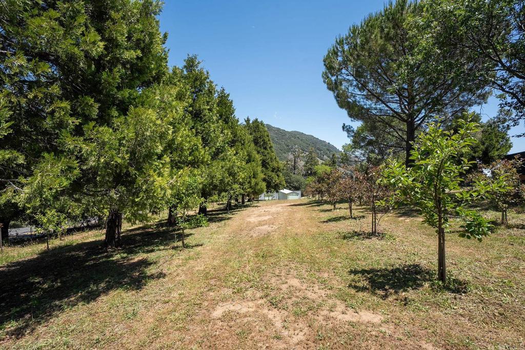 1315 Farmer Road Julian, CA 92036 - Photo 68 of 74