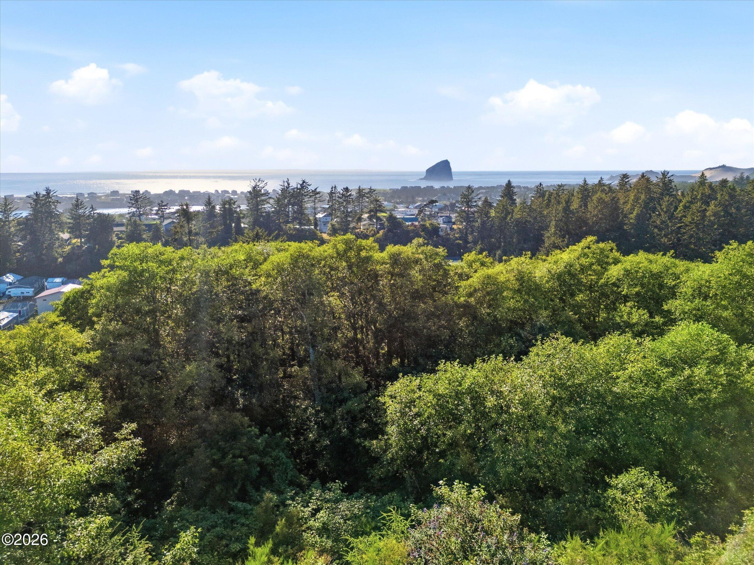 101 Reddekopp Road Pacific City, OR 97135 - Photo 2 of 11