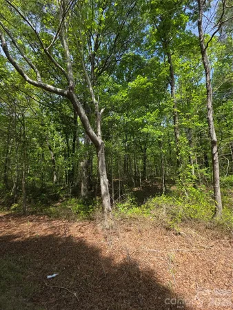 $400,000 | Lot 5 Wolf Pond Road, Monroe, NC 28112