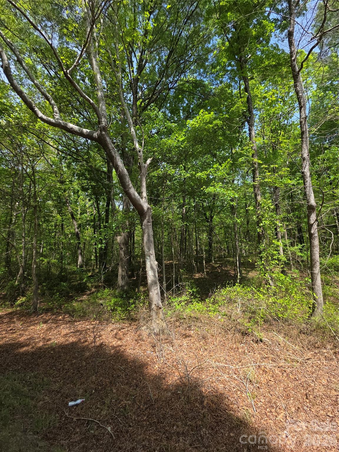 Lot 5 Wolf Pond Road Monroe, NC 28112 - Photo 3 of 10