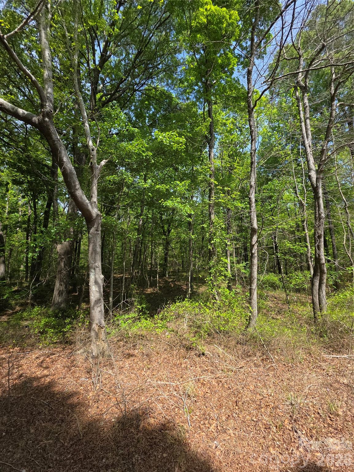 Lot 5 Wolf Pond Road Monroe, NC 28112 - Photo 4 of 10
