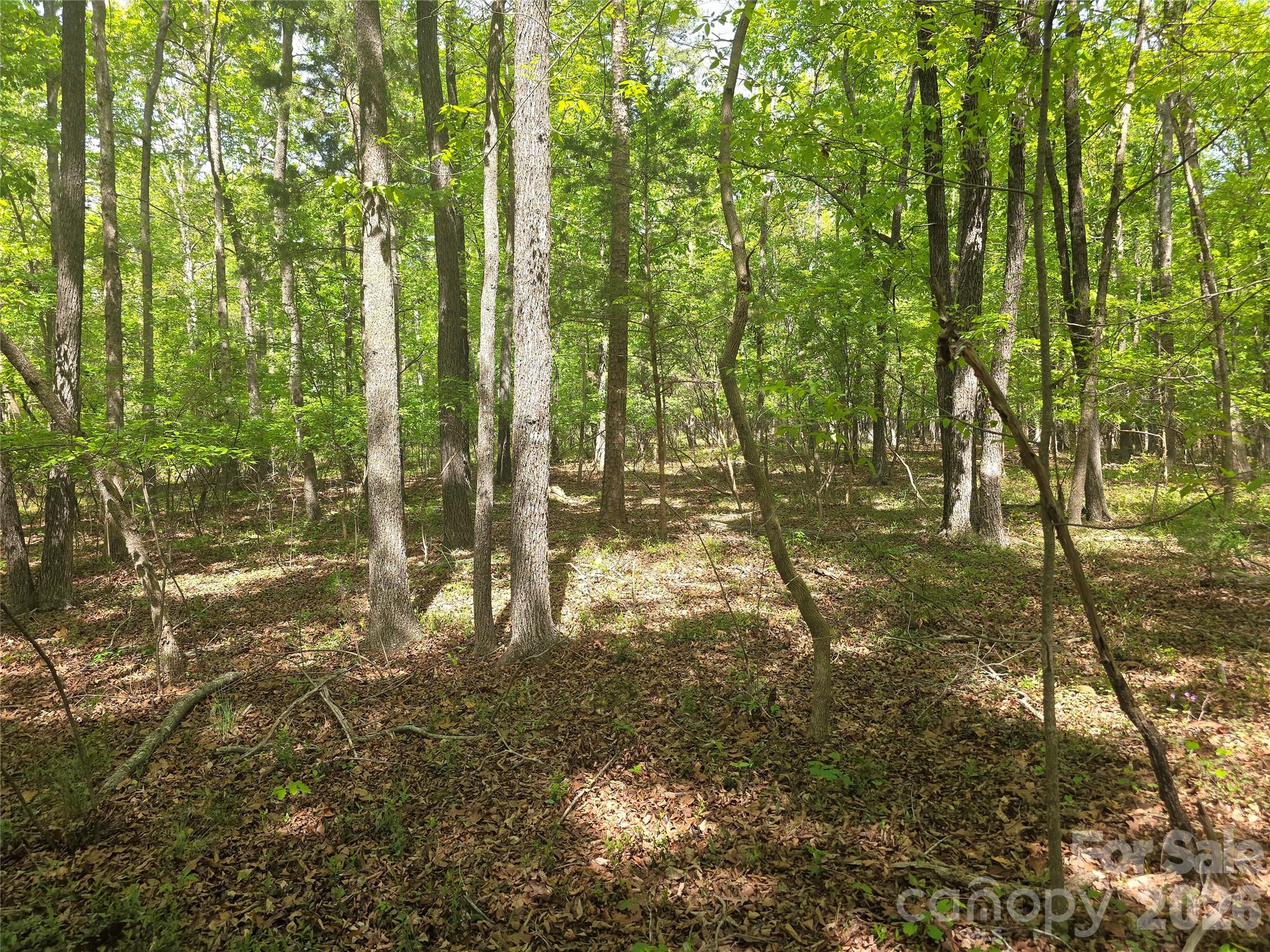 Lot 5 Wolf Pond Road Monroe, NC 28112 - Photo 5 of 10