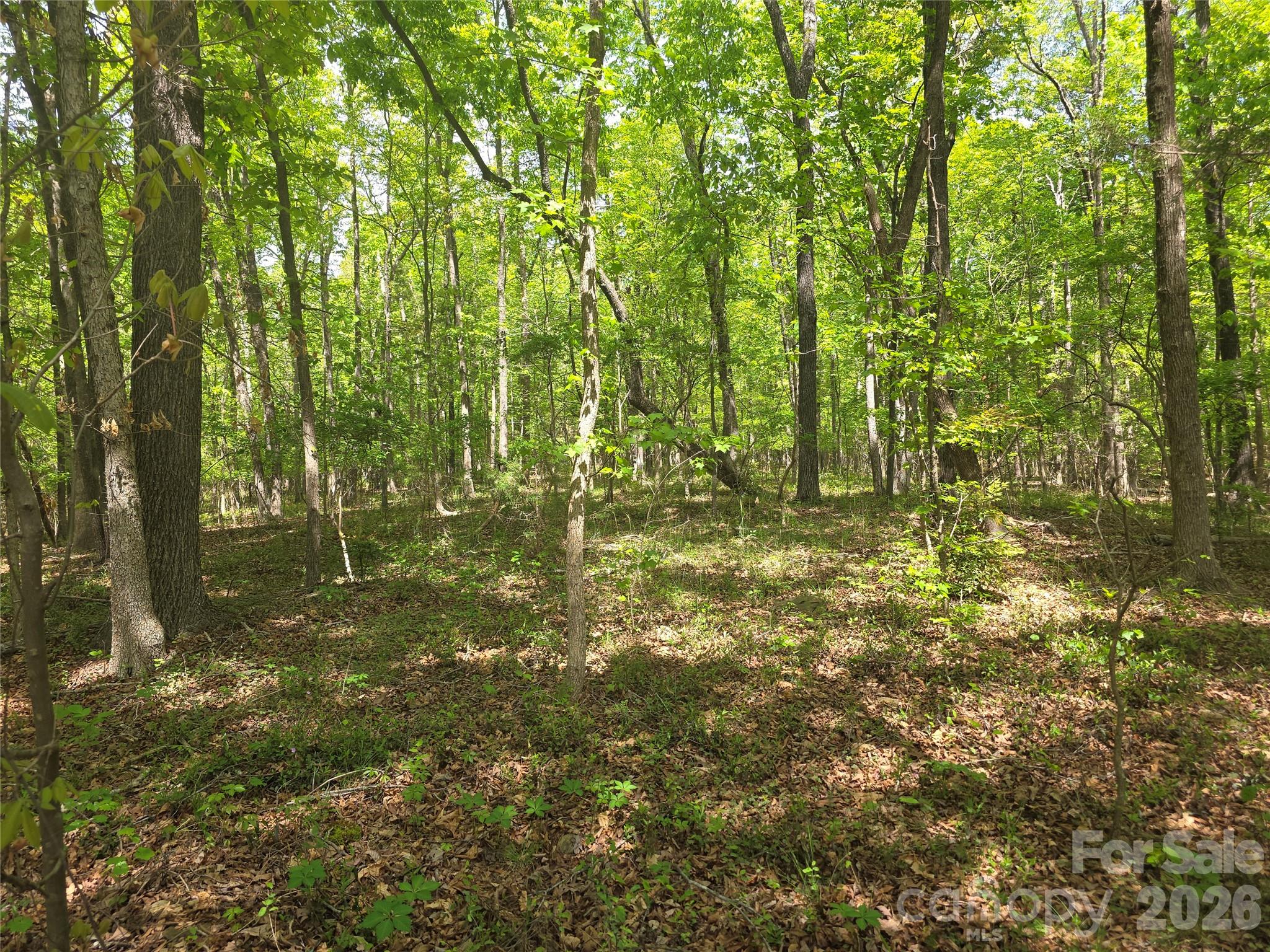 Lot 5 Wolf Pond Road Monroe, NC 28112 - Photo 7 of 10