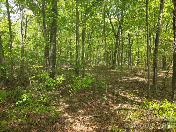 $400,000 | Lot 5 Wolf Pond Road, Monroe, NC 28112