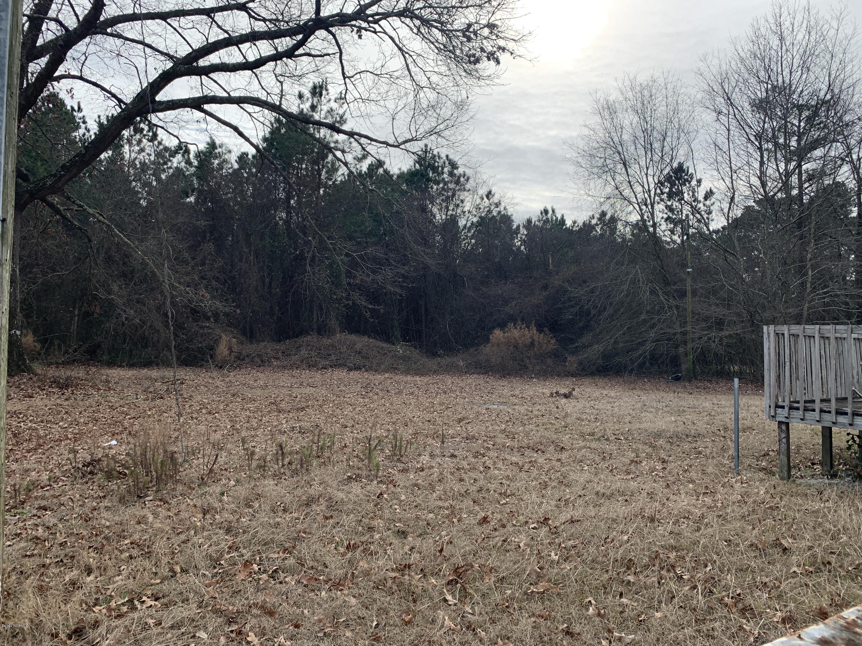 699 Nobles Mill Road Deep Run, NC 28525 - Photo 41 of 41 DJI_20200110_141335_143