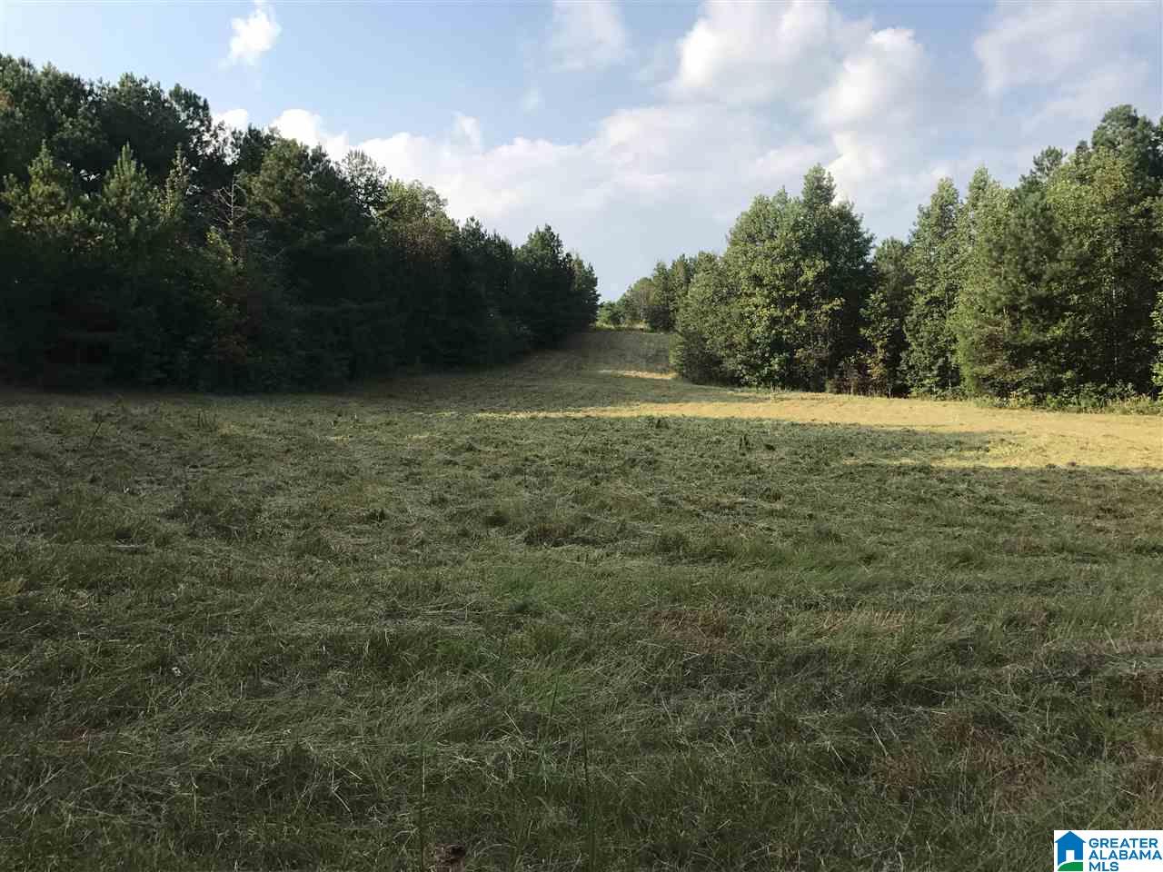 516 County Road Woodland, AL 36280 - Photo 12 of 22