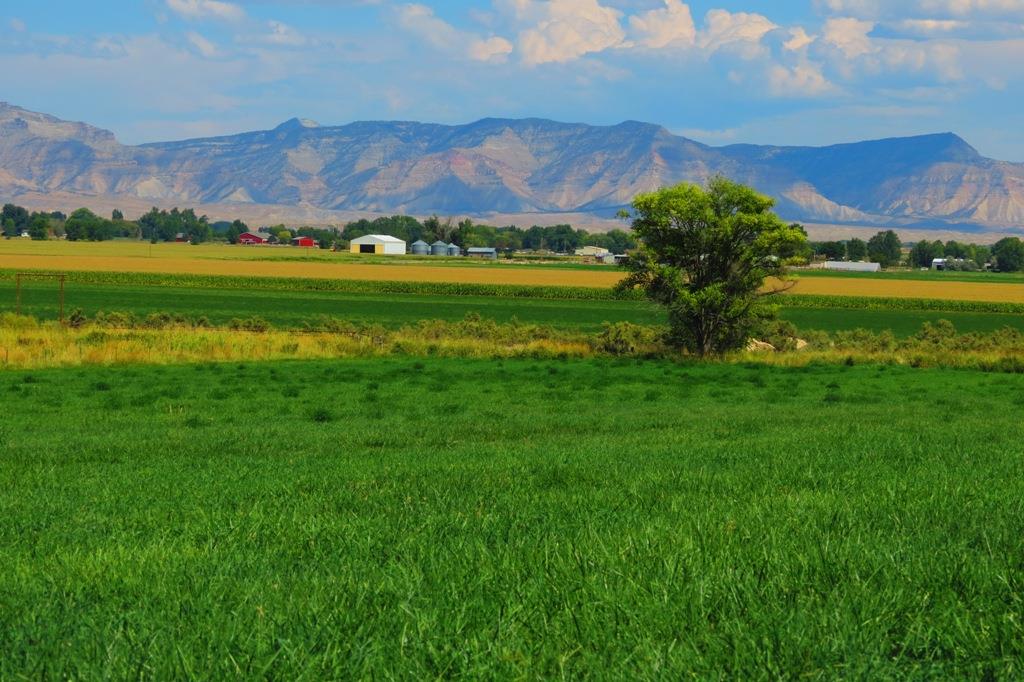 1296 O Road Loma, CO 81524 - Photo 34 of 41 a view of a city with mountains in the background