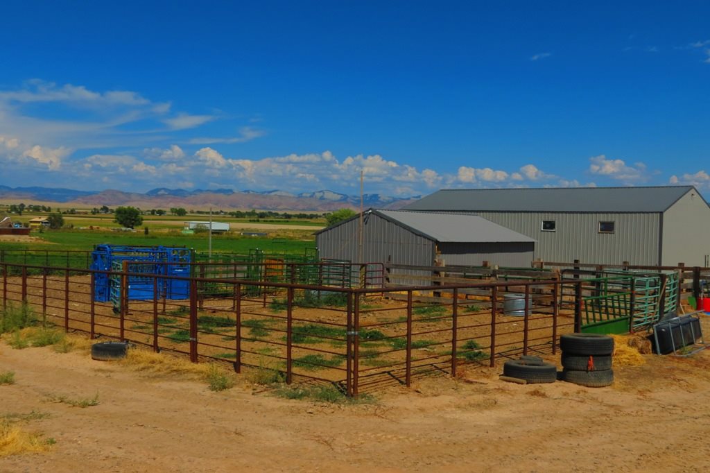 1296 O Road Loma, CO 81524 - Photo 35 of 41 a view of a outdoor space