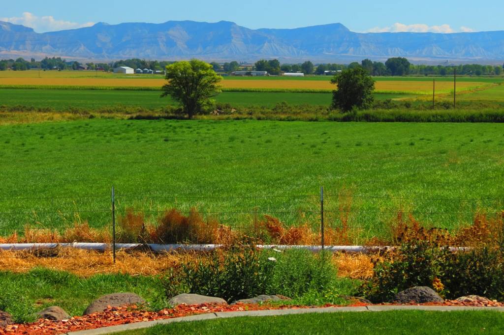 1296 O Road Loma, CO 81524 - Photo 39 of 41 a view of an ocean and a mountain view